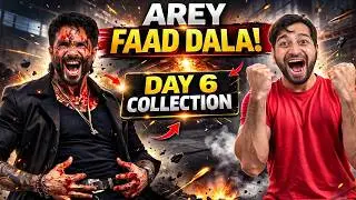 O Romeo Day 6 Final Collection India & Worldwide | Shahid Kapoor 