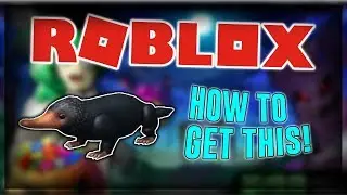 HOW TO GET NIFFLER COMPANION IN ROBLOX! (Hallow's Eve 2018) - Roblox Escape Room