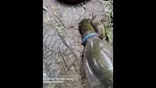 Fascinating fishing technique!