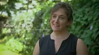 Saving forests by monitoring what&rsquo;s happening on the ground, together with the local communities