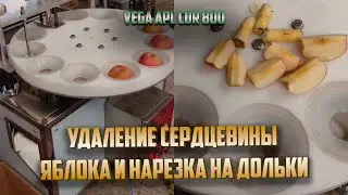 Оборудование для переработки яблок Vega Apl cor 800 | Удаление сердцевины и нарезка на дольки