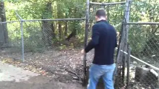 video-2011-11-05-15-50-25.mp4