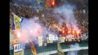 gemellaggi hellas: fiorentina sampdoria lazio triestina..we ll be coming stan arrivando i gialloblu