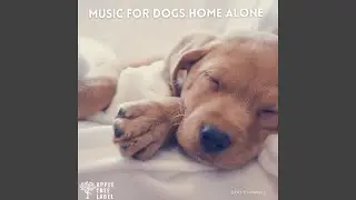 Calm Home