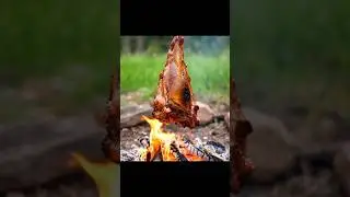 The Most Satisfying Roasted Meat Leg | Wild ASMR Cooking