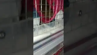 diy hamster wheels