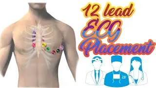 12 lead ECG placement || made easy || Nursing Education Media