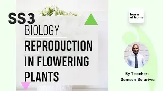 SSS3 Biology: Reproduction In Flowering Plants
