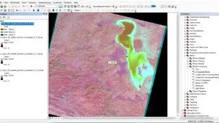 Composite Bands using ArcMap 2nd lab in Practical RS and GIS course (2nd  years student)