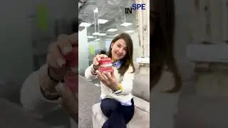 Покажемо вам, як живе наша #INSPE Team Ходімо