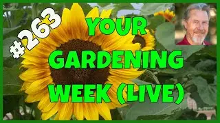 Cover Crops and Green Manure (Q&A)