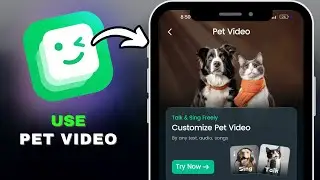 How to Use Pet Video on DreamFace AI in SECONDS!