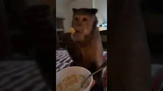 Snacks before bed