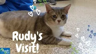 Rudy Visits Family Vet
