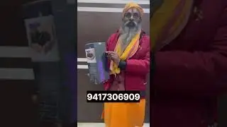 indusviva ipulse results