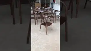 Ghế Neva gỗ &Oacute;c Ch&oacute; giao H&agrave; Nội -,Neva Chair + Walnut Wood