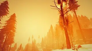 Arctic Awakening - Winter Firewatch? - Part 1