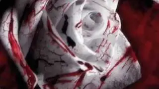 Tori Amos - Blood Roses