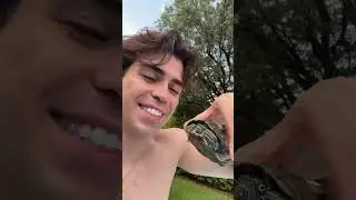 i found this in my garden..