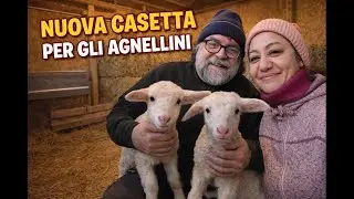 Nuova casetta per gli agnellini