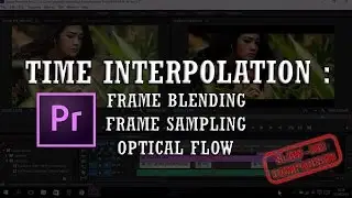 Time Interpolation : Frame Sampling vs Frame Blending vs Optical Flow | Slow Motion Video