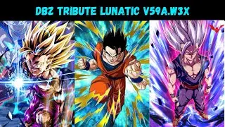 DBZ Tribute LuNaTic V59a #10 (Gohan)