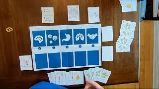 Medimon Board Game Walkthrough - 5/4/25