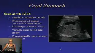 Fetal Abdominal Abnormalities