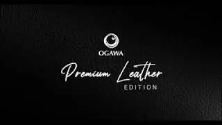 Master Drive - Premium Leather
