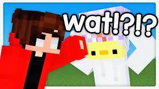 ¿Que pasó con el NUGGETSMP? (Respuesta a capitan gato que estaba desinformando, te quiero mucho cap)