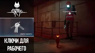 Stray - Ключи для рабочего в Мидтауне