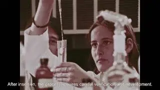 STS GMO Project Part 2