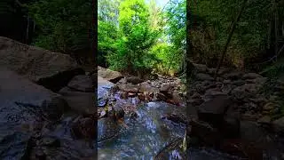 Calm Flow for Deep Sleep #CalmFlow #SleepTherapy #NatureSound
