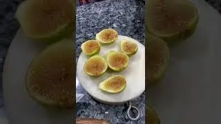 Tasting Peter&rsquo;s Honey Fig