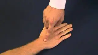 Dorsal Load Test