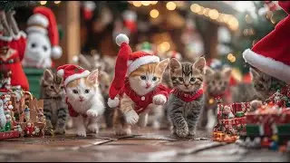 Adorable Kittens Explore a Magical Christmas Market | Holiday Fun!