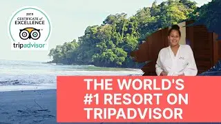 The Number #1 Resort In The World!!!!