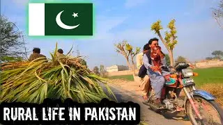 Rural Life in Pakistan 🇵🇰 Now | Pakistan Desi Life | People's of Pakistan 