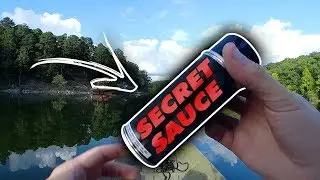 Bass fishing with BANG GARLIC SPRAY - IT WORKED!!! (BASS FISHING SPRAY)