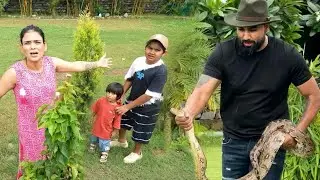 Arman Malik Payal Malik found Snake at Farm #armanmalik #payalmalik #viral #viralvideo 
