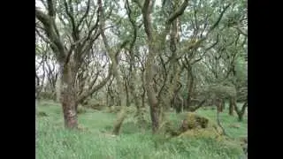 The Otherworld
