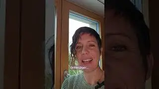 Kinderstube der Grabwespe