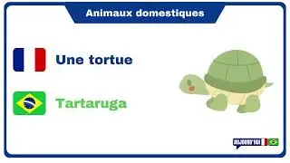 Francês lição 14 - Os animais domésticos em francês - les animaux domestiques en français