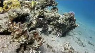 Dahab, Diving at Happy Life Village House Reef (and other sites)