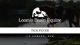 Tick Fever Signs, Symptoms, Diagnosis, and Treatment