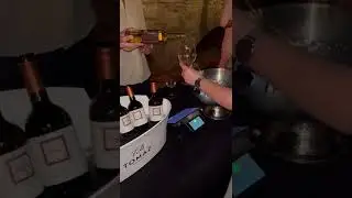 Motovun Wine Festival | Cashless Payment System