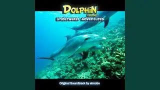 Exploration Music #5