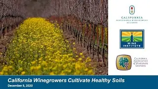 California Winegrowers Cultivate Healthy Soils