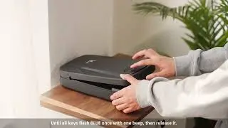 RPNB RP2008 / RP2008W Pistol Safe - How to Program
