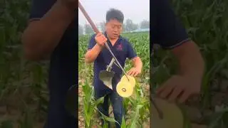 Amazing practical farming tool #machine ma #farming #agriculture